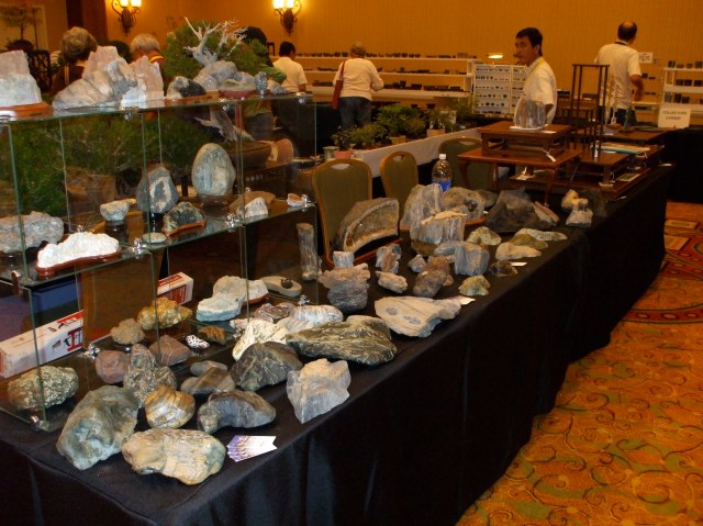 Stone at Show