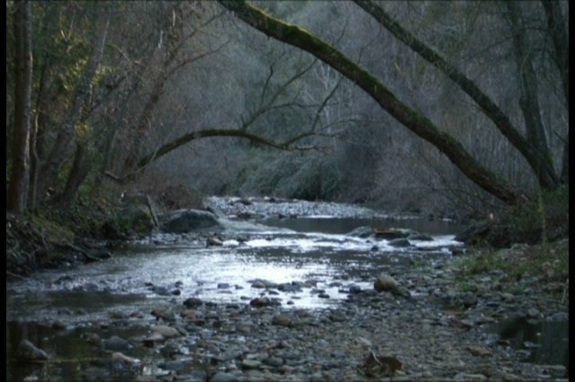 Creek in Amador County